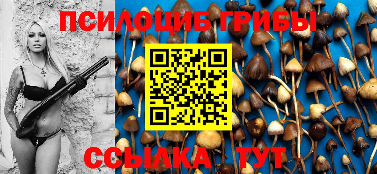 Севастополь  Псилоцибиновые грибы Psilocybe  Галлюциногенные грибы MAGIC MUSHROOMS  Вход с VPN 