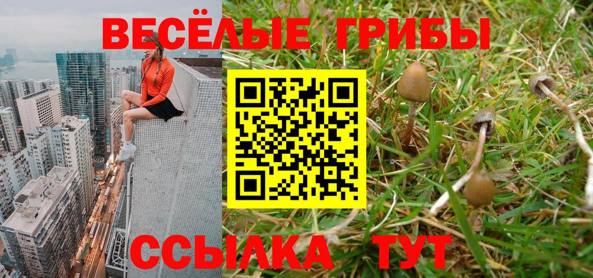 Псилоцибиновые грибы ЛСД Севастополь